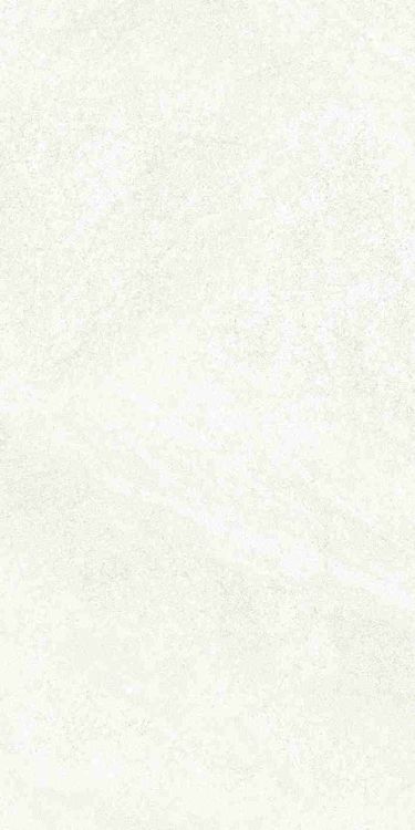 Dhara White Matte 12 x 24